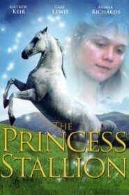 The Princess Stallion 1997 one on netflix
