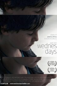 Wednesdays 2011 one on netflix