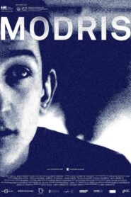 Modris 2014 one on netflix