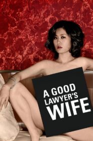 A Good Lawyer’s Wife 2003 one on netflix