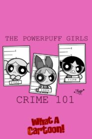 The Powerpuff Girls: Crime 101 1996 one on netflix