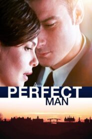 A Perfect Man 2013 one on netflix