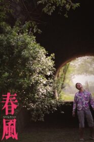 Spring Breeze 2014 one on netflix