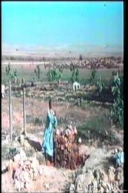 The Well 1982 one on netflix