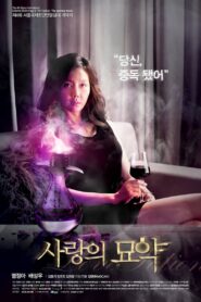 Love Portion 2012 one on netflix