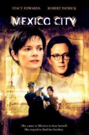 Mexico City 2000 one on netflix