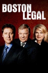 Boston Legal 2004 one on netflix