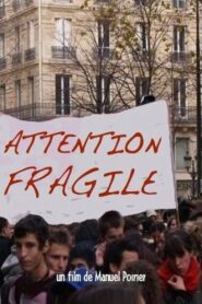 Attention fragile 1995 one on netflix