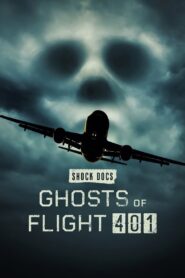 Ghosts of Flight 401 2022 one on netflix