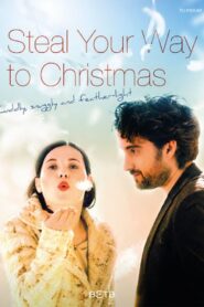 Steal Your Way to Christmas 2014 one on netflix