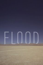 Flood 2012 one on netflix