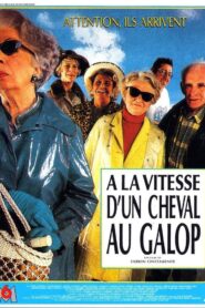 À la vitesse d’un cheval au galop 1992 one on netflix