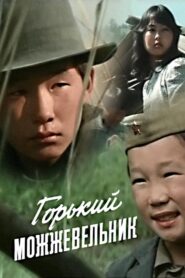 Bitter Juniper 1986 one on netflix