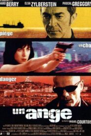 Angel 2001 one on netflix