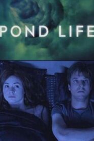 Doctor Who: Pond Life 2012 one on netflix
