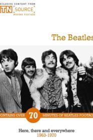 The Beatles: Here There and Everywhere 2009 one on netflix