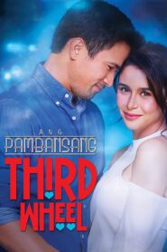 The National Third Wheel 2018 one on netflix