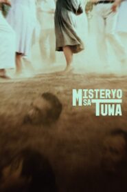 Joyful Mystery 1984 one on netflix