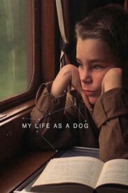 My Life as a Dog 1985 one on netflix