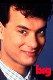Big 1988 one on netflix