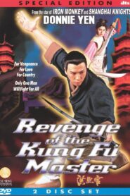 Revenge of the Kung Fu Master 1994 one on netflix