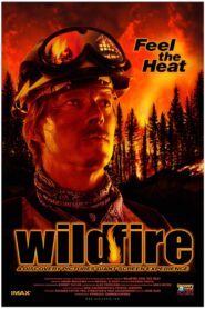 Wildfire: Feel the Heat 1999 one on netflix