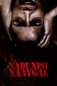 Nadunisi Naaygal 2011 one on netflix