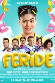 Feride 2020 one on netflix