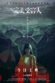 The Perfect Victim 2021 one on netflix