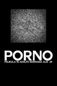 Porno 2013 one on netflix