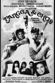 Tangga and Chos: Beauty Secret Agents 1990 one on netflix