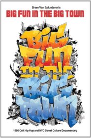 Big Fun in the Big Town 1986 one on netflix