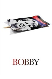 Bobby 2006 one on netflix