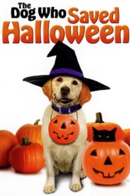 The Dog Who Saved Halloween 2011 one on netflix
