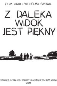 It Looks Pretty from a Distance 2012 one on netflix