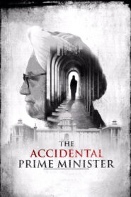 The Accidental Prime Minister 2019 one on netflix
