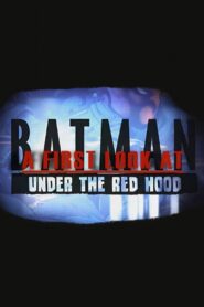 A First Look at Batman: Under the Red Hood 2010 one on netflix