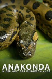 Anaconda: Silent Killer 2014 one on netflix