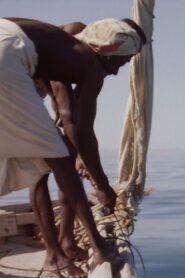 Hauling Sharks 1988 one on netflix