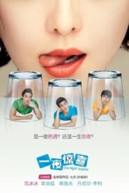 One Night Surprise 2013 one on netflix