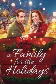 A Family for the Holidays 2017 one on netflix