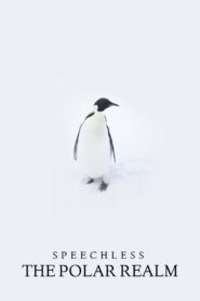 Speechless: The Polar Realm 2015 one on netflix