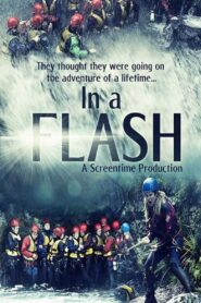 In a Flash 2018 one on netflix