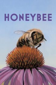 Honeybee 2022 one on netflix