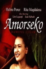 Amorseko: Damong Ligaw 2001 one on netflix