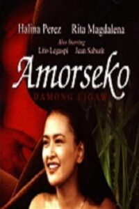 Amorseko: Damong Ligaw 2001 one on netflix