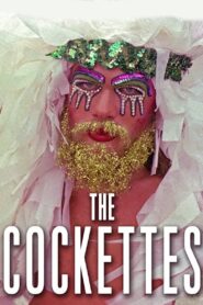 The Cockettes 2002 one on netflix