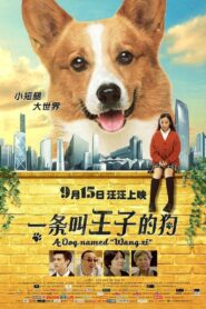 A Dog Named Wang Zi 2016 one on netflix