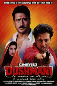 Dushmani: A Violent Love Story 1995 one on netflix