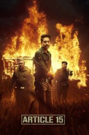 Article 15 2019 one on netflix